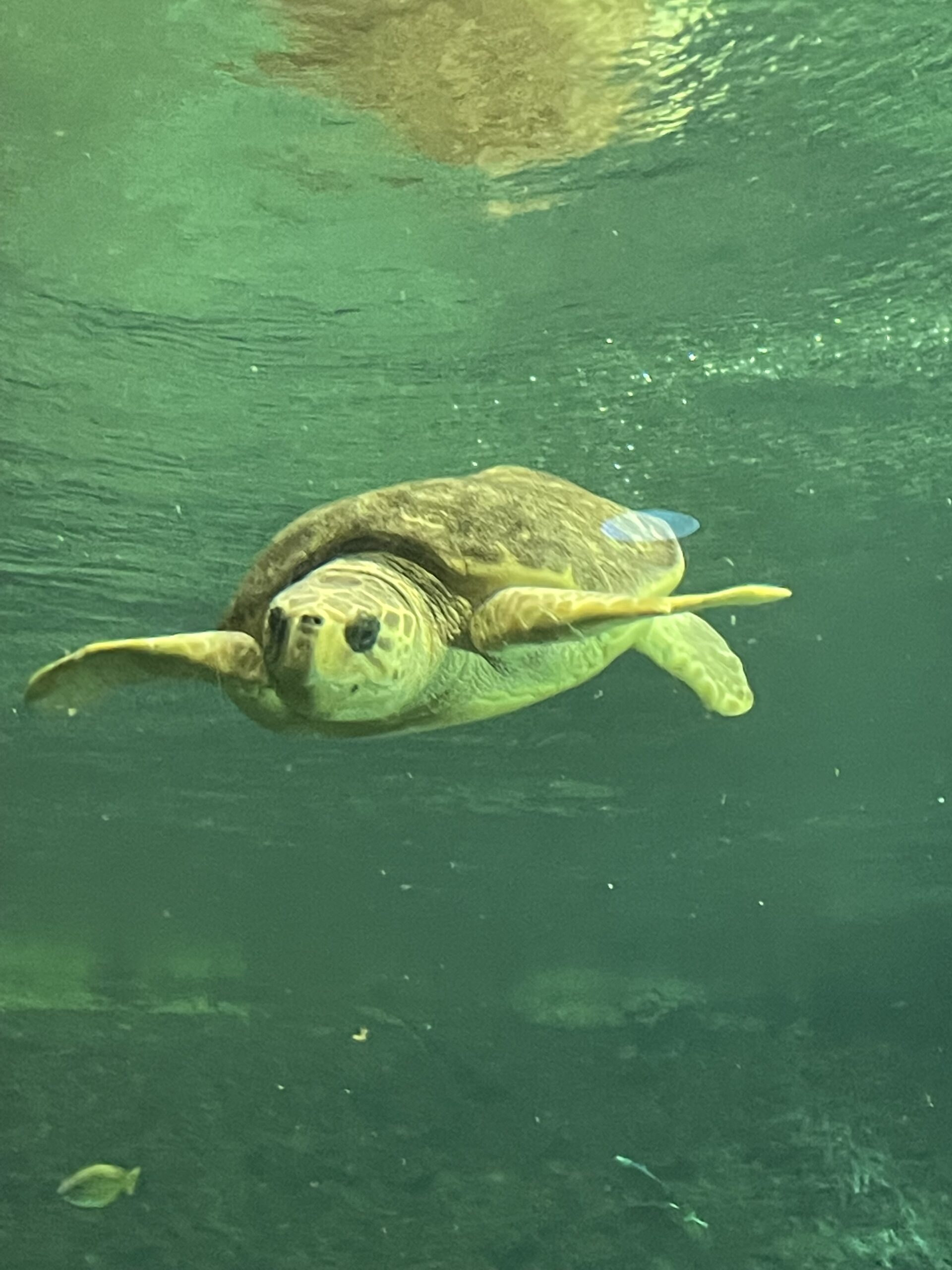 Slow and Steady